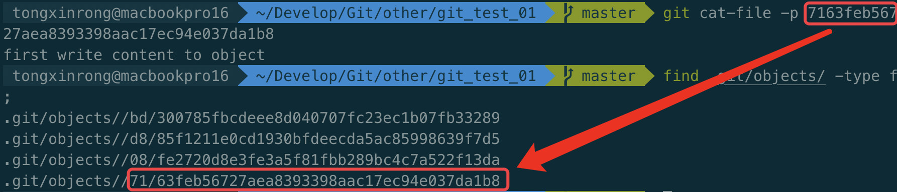 image-20200222090639792