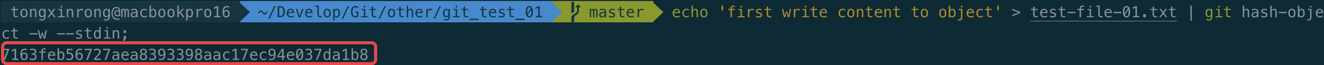 image-20200222093306636