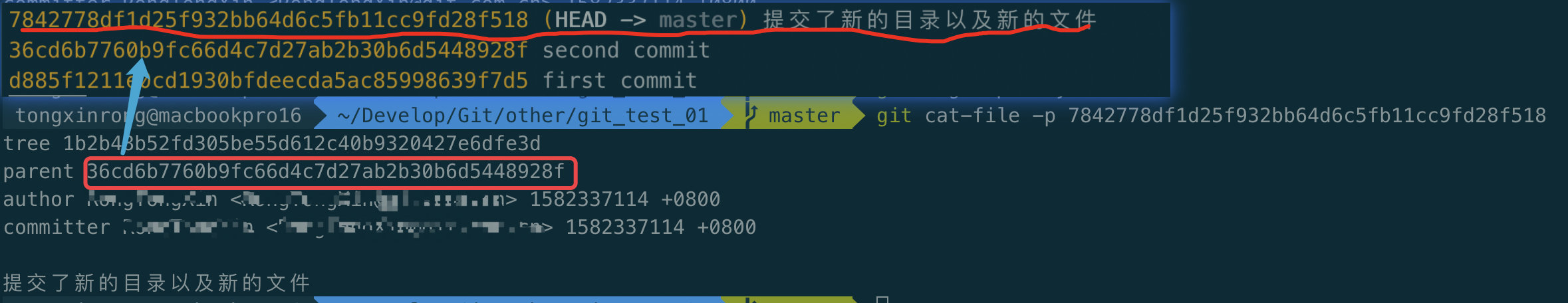 image-20200222101531409