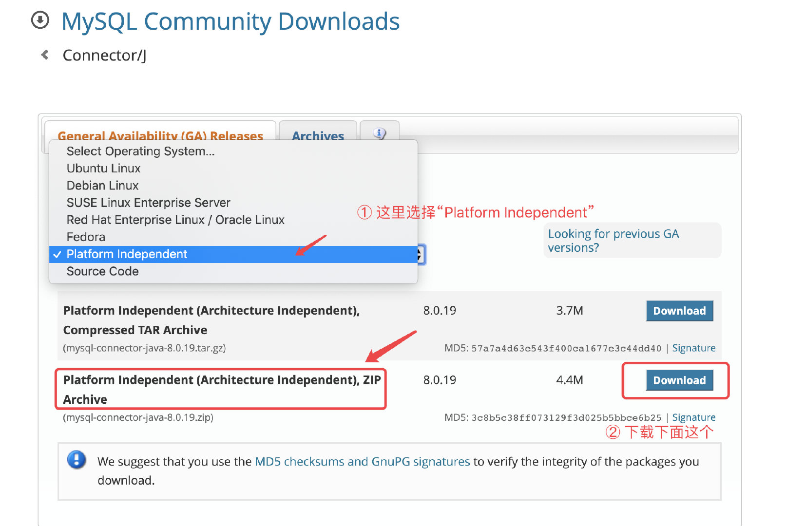 image-20200308163504848