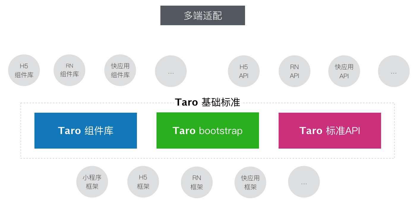 taro seedlings图片