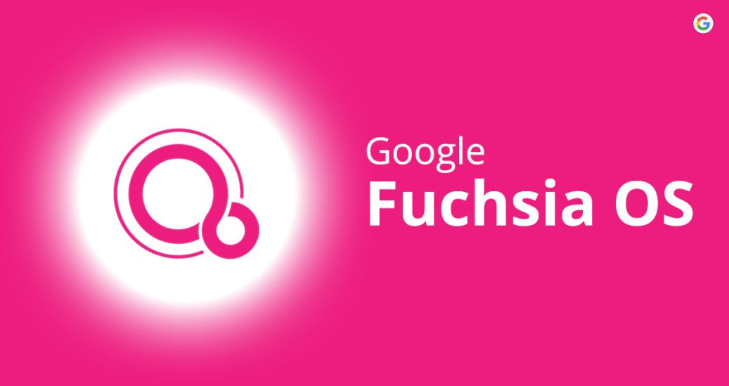 Fuchsia 是什么 Fuchsia Os 的未来如何 恋猫de小郭的博客 Csdn博客