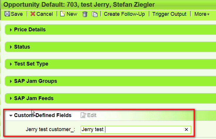why i could not put extension fields done on customer h to webui