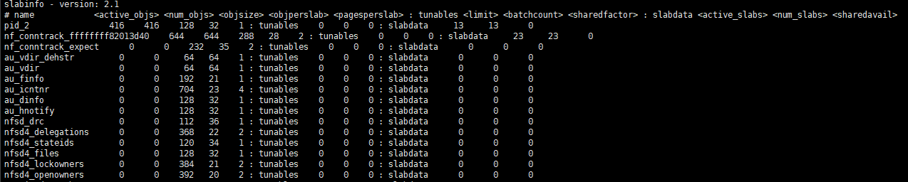 slabinfo查询