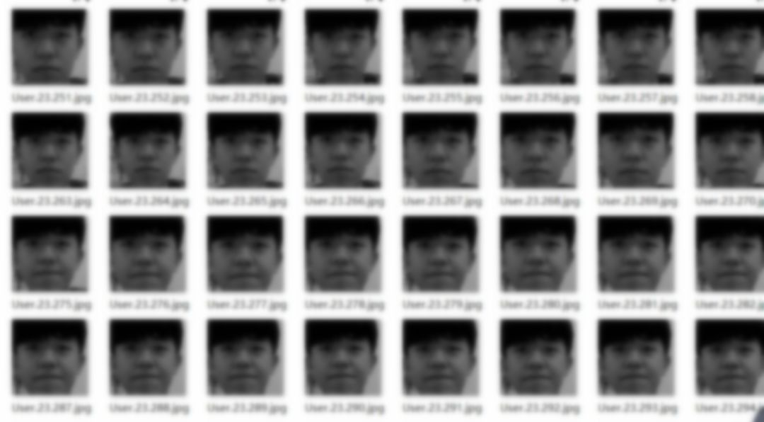 上图为转换为灰度图片之后保存在data目录下的照片