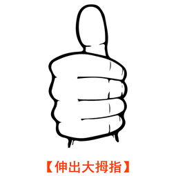 她应该离职,去寻找一家更注重代码质量,开发团队更大,开发人员更积极