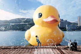 一名优秀的程序员应该向谁提问沉默王二-