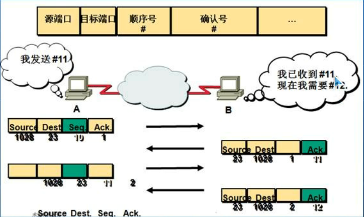 顺序号和确认号.png