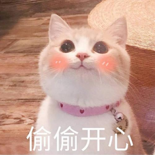 开源取证工具_取证小程序开发_程序开发证书