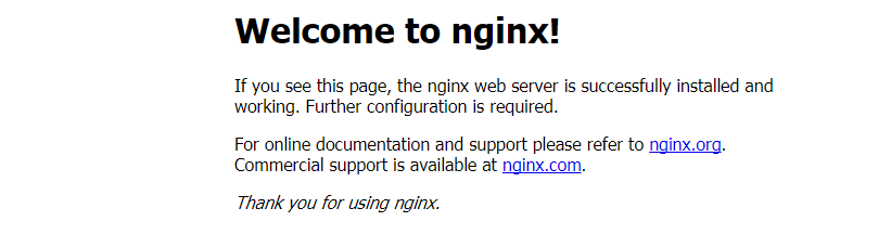 nginx.jpg