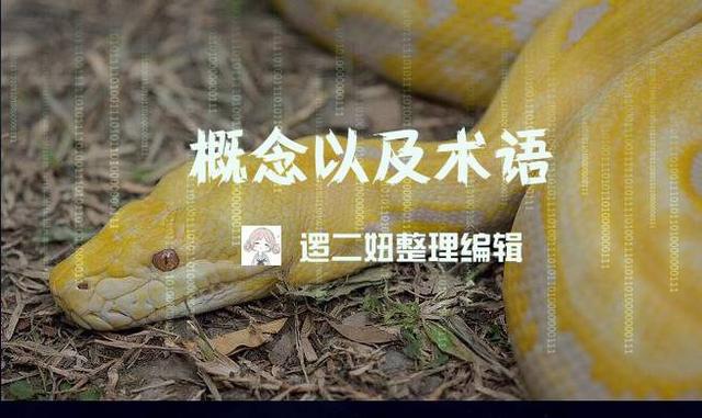 Python技术分享—面向对象编程