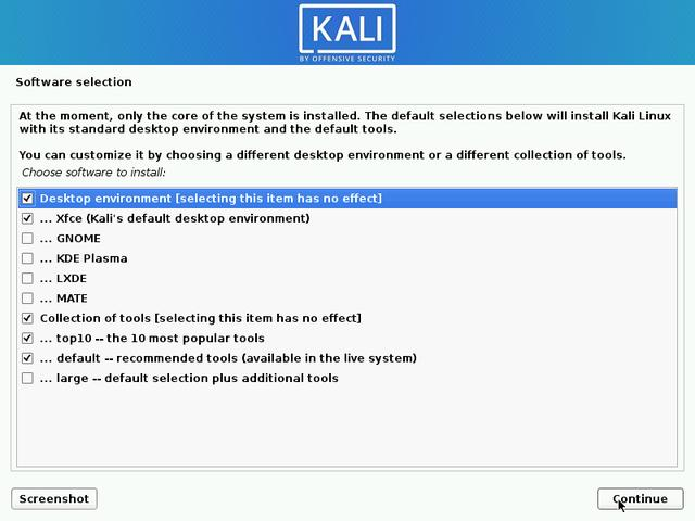 Kali Linux 2020.2 安装设置选项