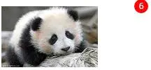 CSS绝对定位absolute详解[亲测有效]_https://bianchenghao6.com/blog__第12张