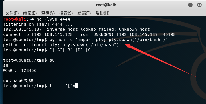 反弹shell升级为交互式shell Yzddmr6 Yzddmr6的博客 Csdn博客