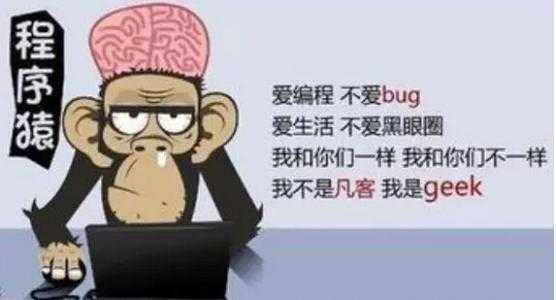 32程序员面试被拒，嫌弃太老，“大龄程序员”将何去何从