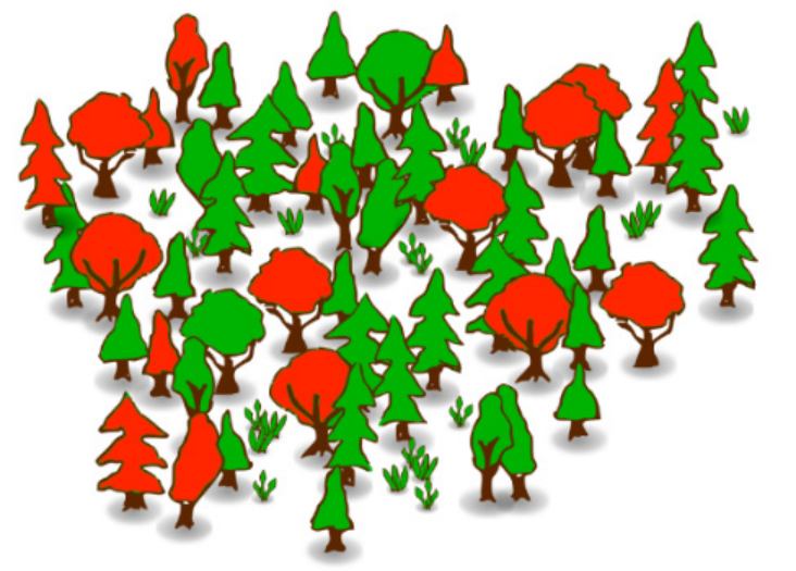 随机森林 Random Forests