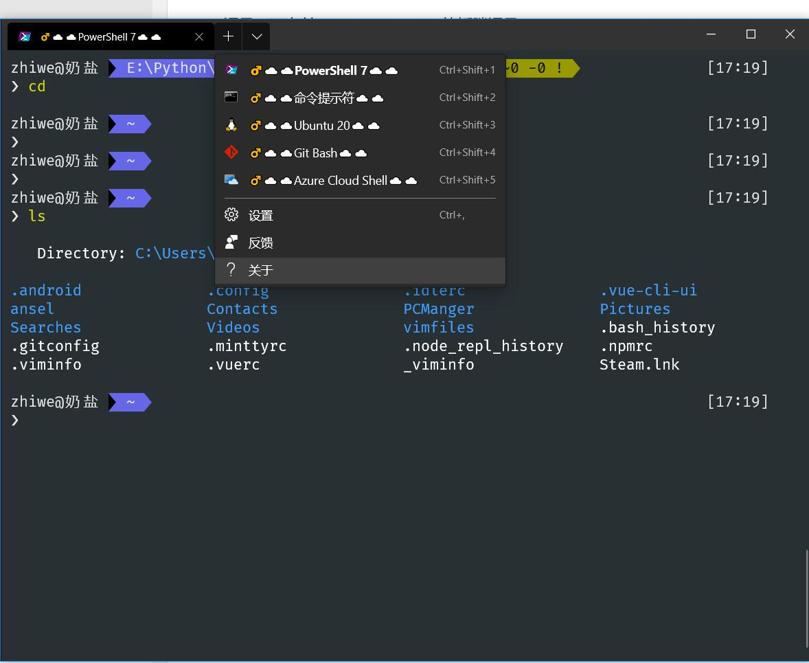 Windows terminal powershell 7