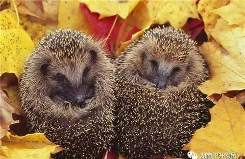 朋友之间也是有距离的