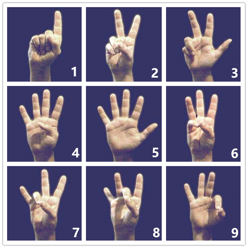 美国手势(原图来自维基「american manual alphabet」词条)