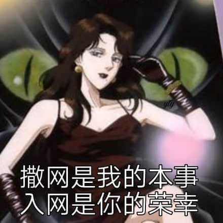 别爱我没结果