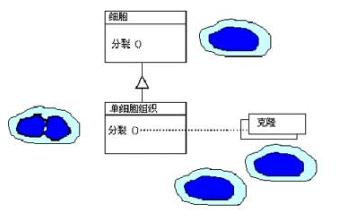 15原型模式(Prototype)