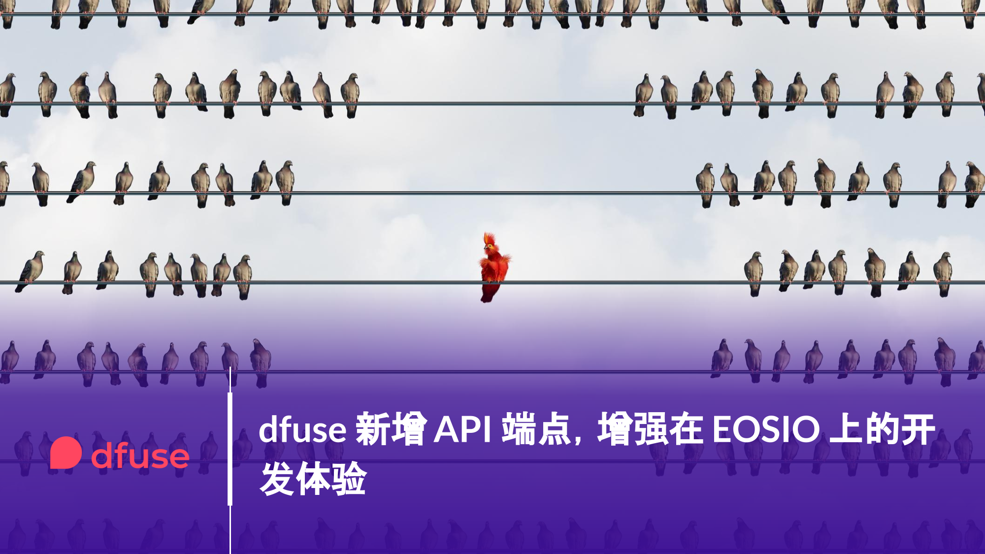 dfuse 新增 API 端点，增强在 EOSIO 上的开发体验