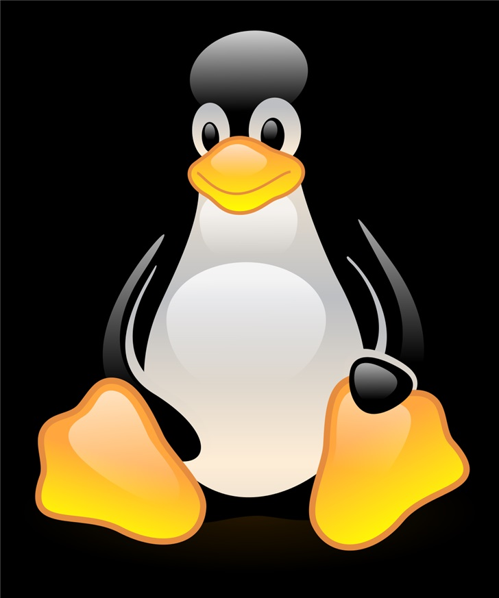 Linux与开源发展迅猛Linux与开源发展迅猛