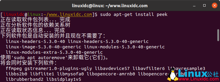 教你如何在 Ubuntu 18.04 上安装 peek 录制 gif 动画教你如何在 Ubuntu 18.04 上安装 peek 录制 gif 动画