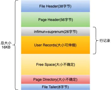 无水干货：InnoDB底层原理无水干货：InnoDB底层原理