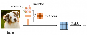 ACNet: Strengthening the Kernel Skeletons for Powerful CNN via Asymmetric Convolution Blocks