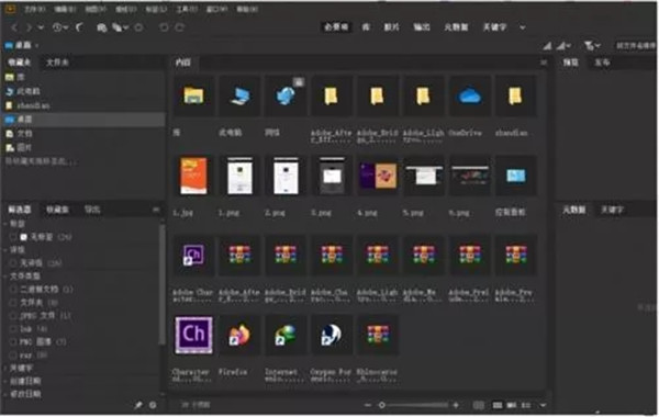 Adobe Bridge 2020????????????? v10.1.0.163(????)