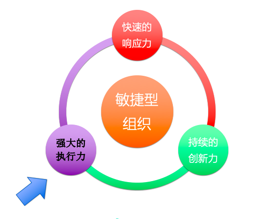 什么是敏捷性组织-csdn博客