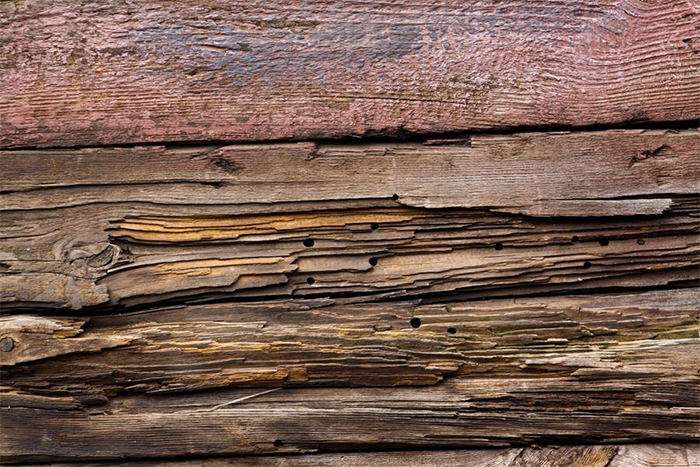 木板烂木wood虫纹理
