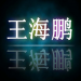u012466304