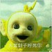 zhu714702382