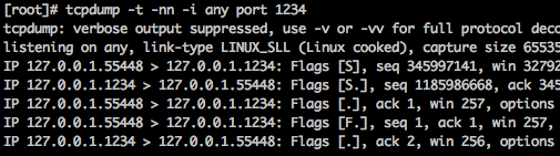 tcpdump -t -nn -i any port 1234