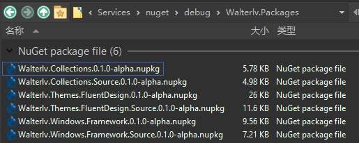 其中的一个 NuGet 输出文件夹