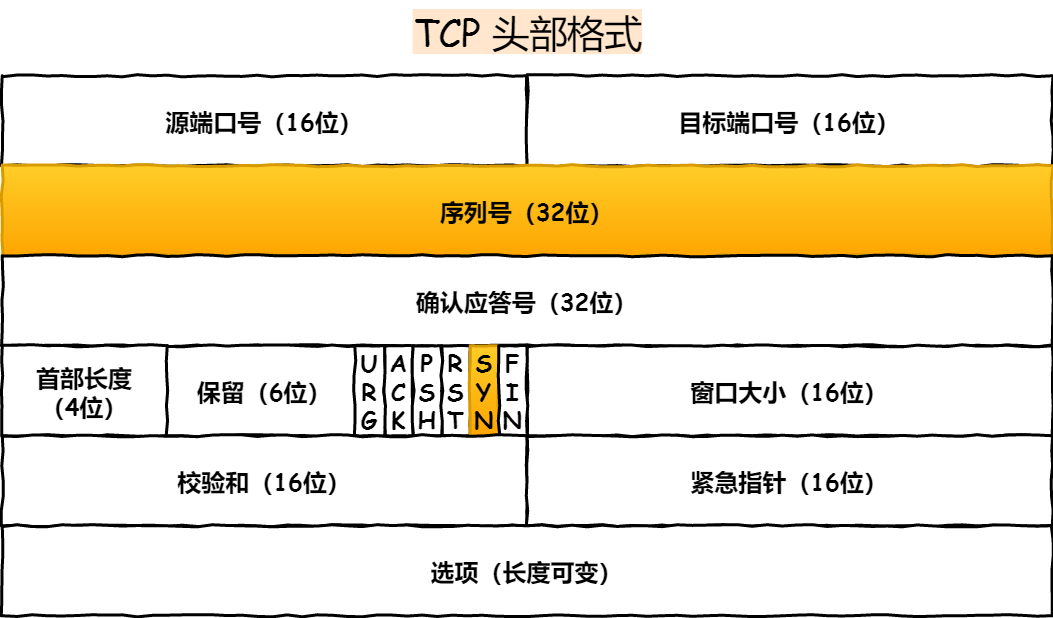 TCP 头部