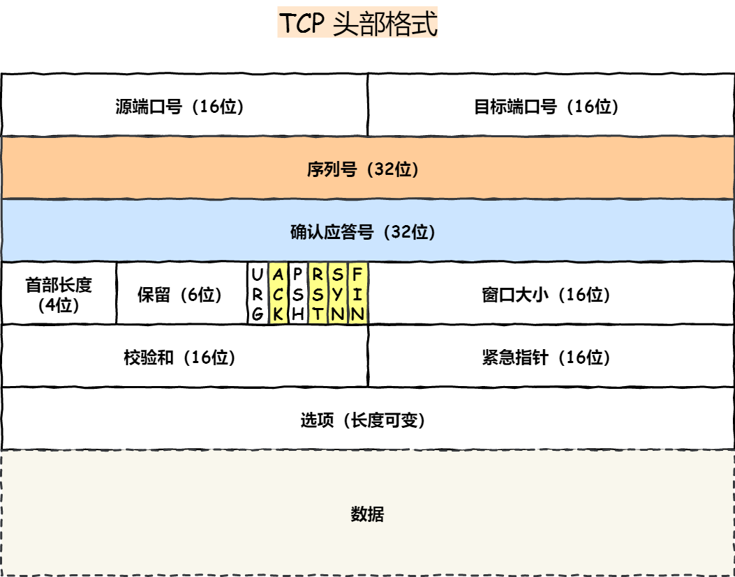TCP 头格式