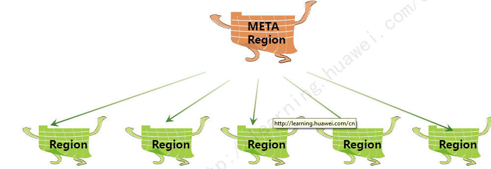 Region分类