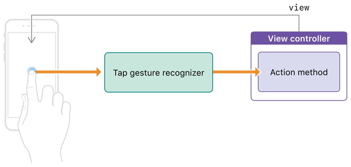 A diagram demonstrating how a gesture recognizer links user interactions with your view controller action methods.