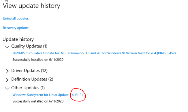 WSL Kernel Version.