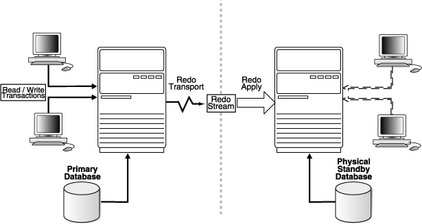 Adg oracle что это