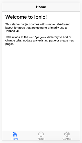 初始化项目运行结果