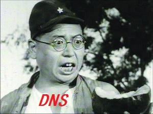 DNS的作用是什么，怎样设置DNS