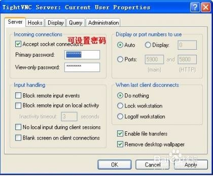 如何使用TightVNC进行远程控制?