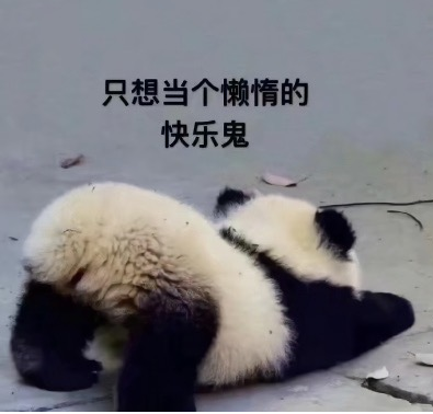 image-20200516220011066