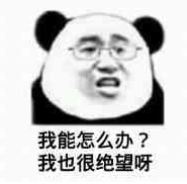 image-20200818232537090