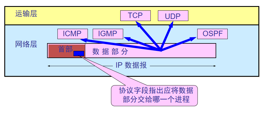 计算机网络(四)_网络层