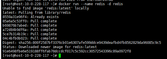 image-20200714184756275
